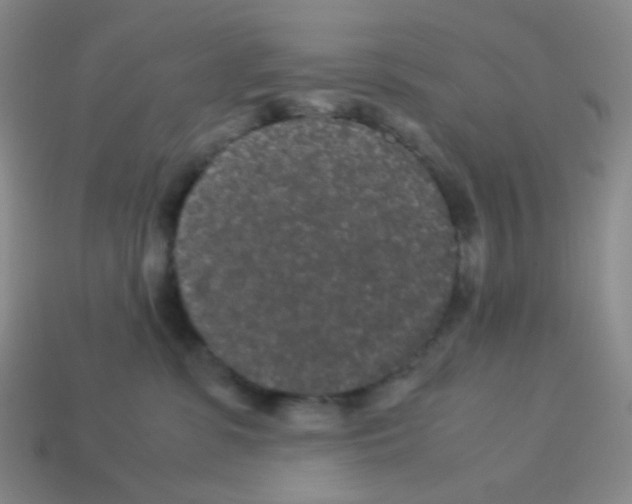 X0000113240331200910221106