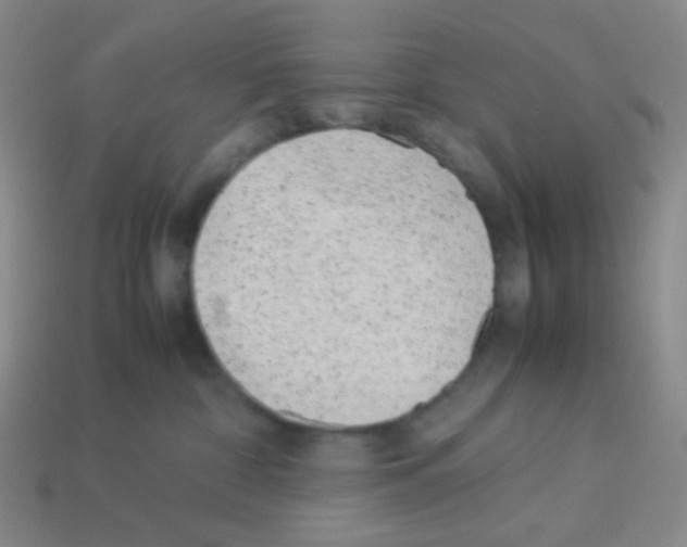 X0000113240332200910221106