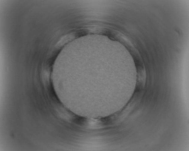 X0000113240333200910221106