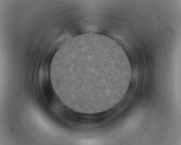 X0000113240334200910221106