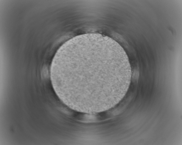 X0000113240335200910221106