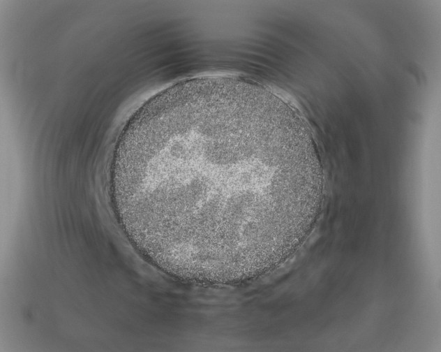 X0000113240337200910221105