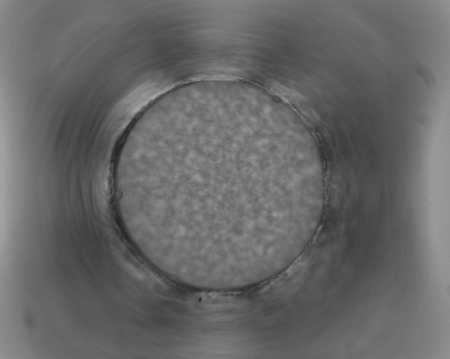 X0000113240338200910221105