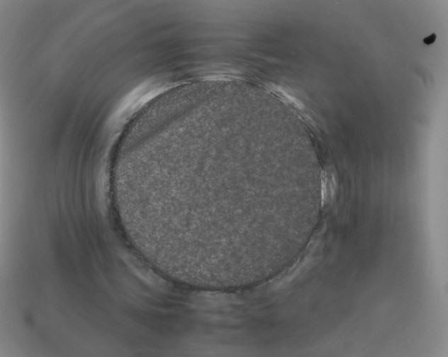 X0000113240339200910221105