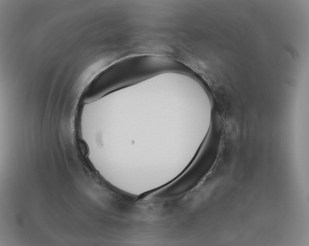 X0000113240340200910221105