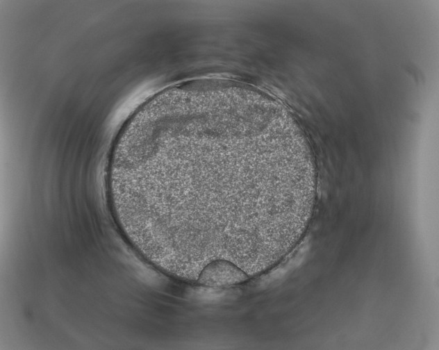 X0000113240341200910221105