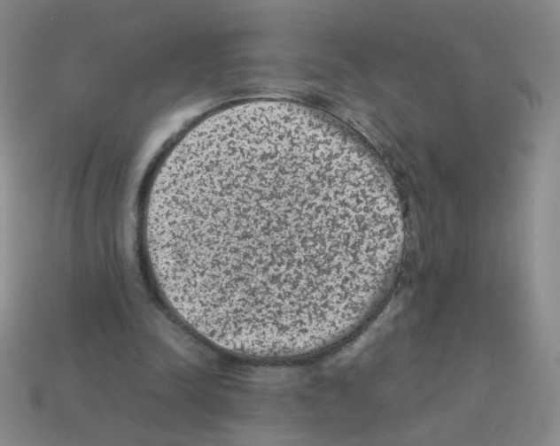 X0000113240342200910221105