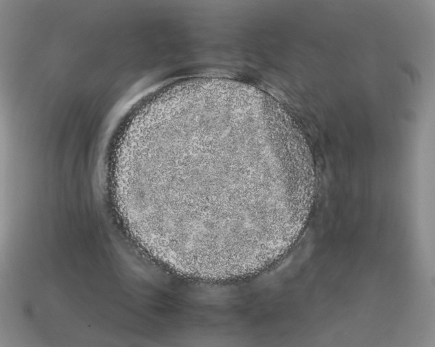 X0000113240343200910221105