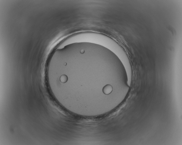 X0000113240344200910221105