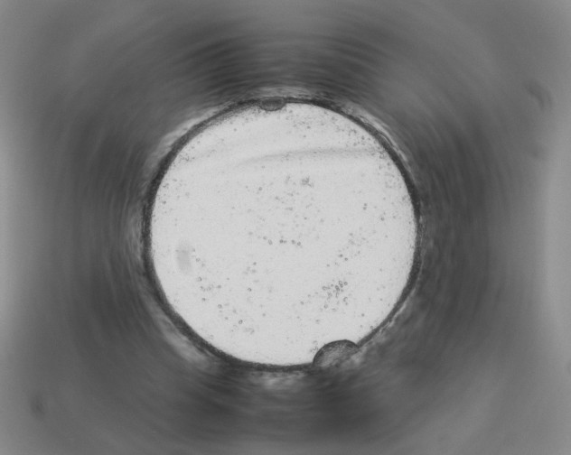 X0000113240345200910221105