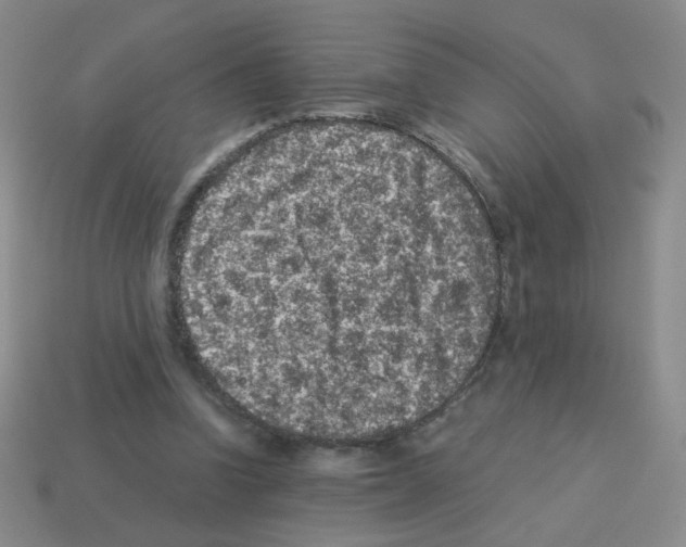 X0000113240346200910221105
