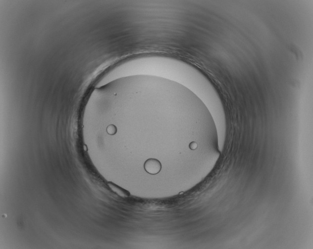 X0000113240348200910221105
