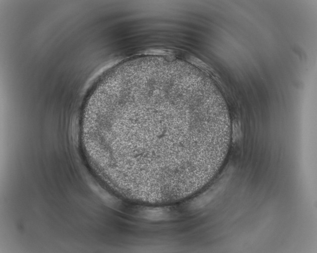 X0000113240349200910221105