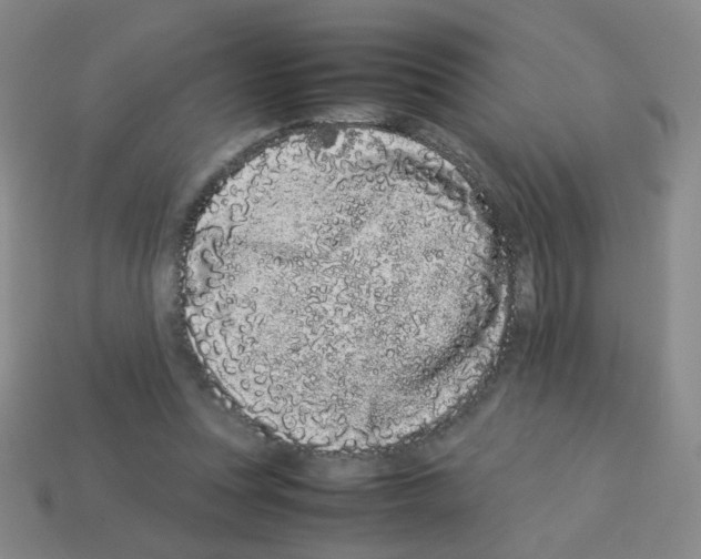 X0000113240351200910221105