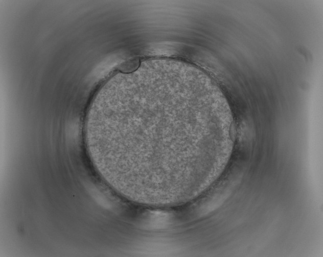 X0000113240352200910221105
