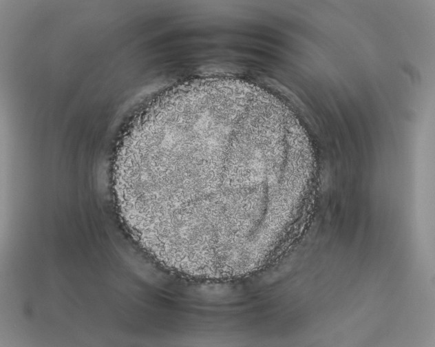 X0000113240353200910221105