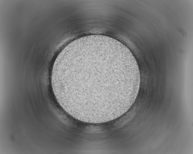 X0000113240354200910221105