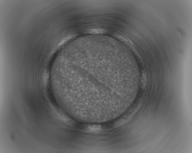 X0000113240355200910221105