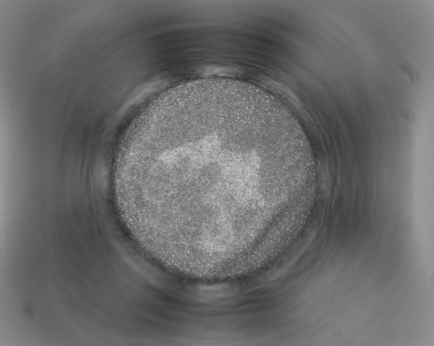 X0000113240357200910221105