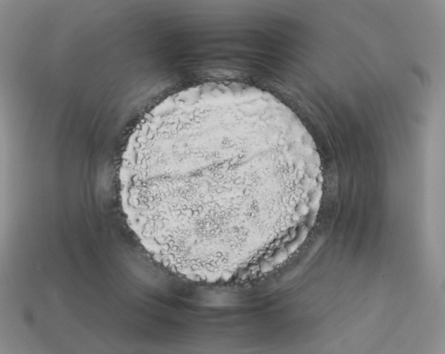 X0000113240359200910221105