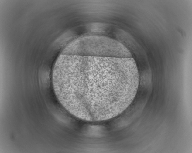 X0000113240360200910221105