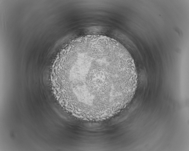 X0000113240361200910221105