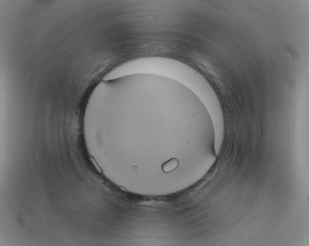 X0000113240362200910221105