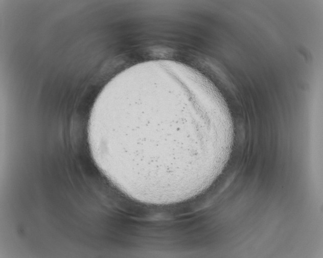 X0000113240363200910221105