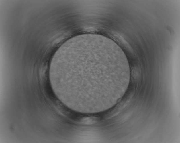 X0000113240364200910221105