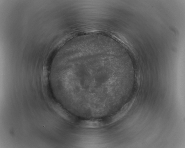 X0000113240366200910221105