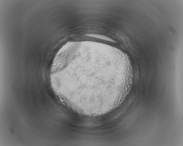 X0000113240367200910221105