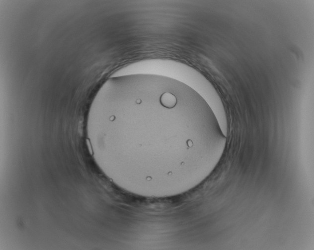 X0000113240368200910221105