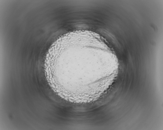 X0000113240369200910221105