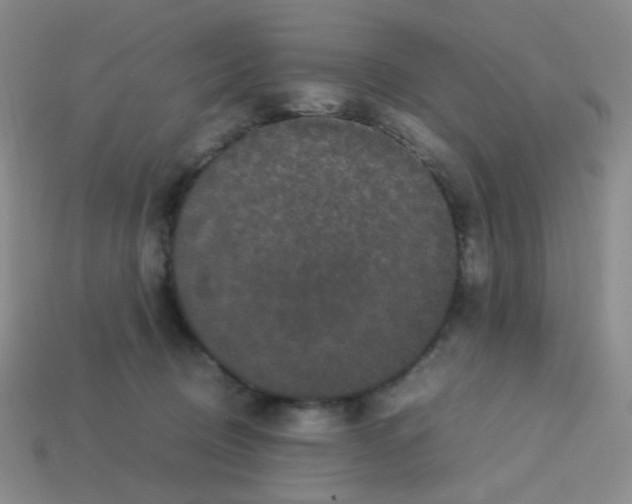 X0000113240370200910221105