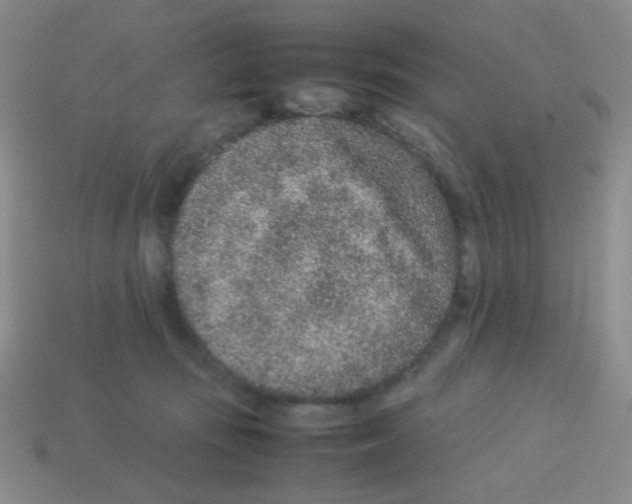 X0000113240371200910221105