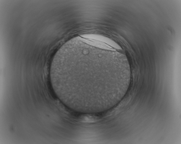X0000113240372200910221105