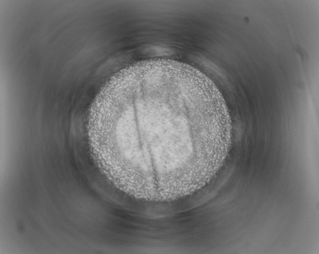 X0000113240373200910221105