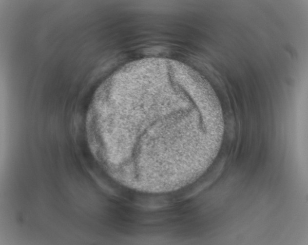 X0000113240375200910221106