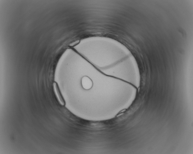 X0000113240376200910221106