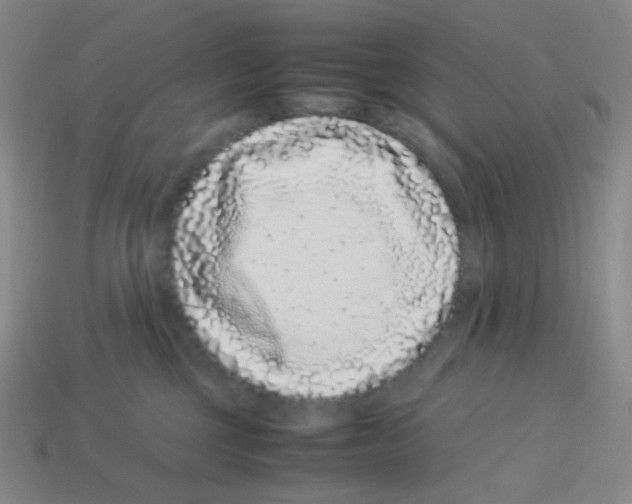 X0000113240377200910221106