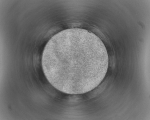 X0000113240378200910221106