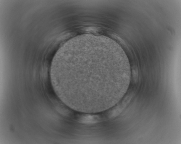 X0000113240379200910221106