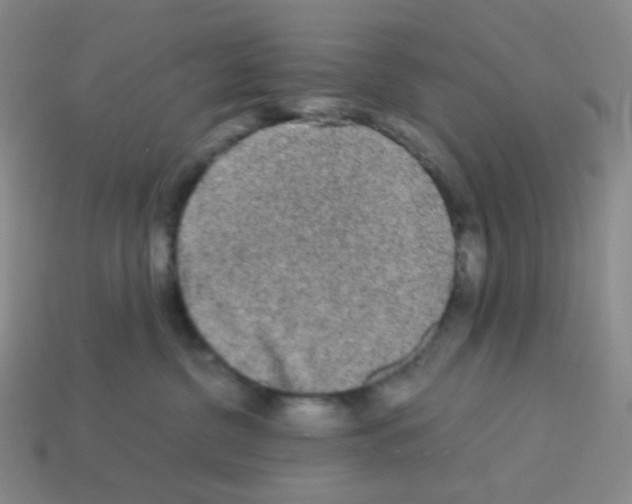 X0000113240380200910221106
