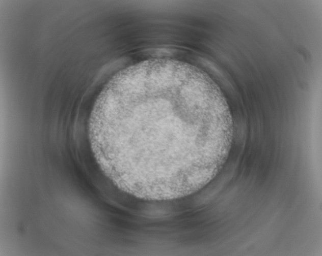 X0000113240381200910221106