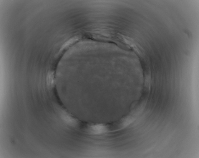 X0000113240383200910221106