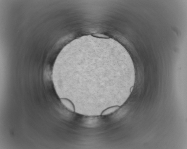 X0000113240384200910221106