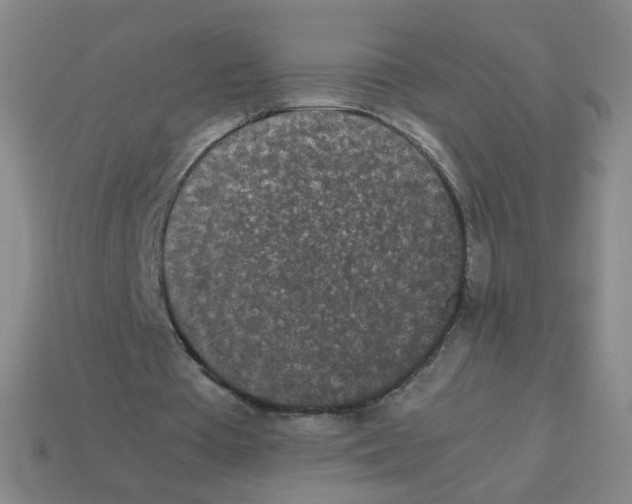 X0000113240385200910221105