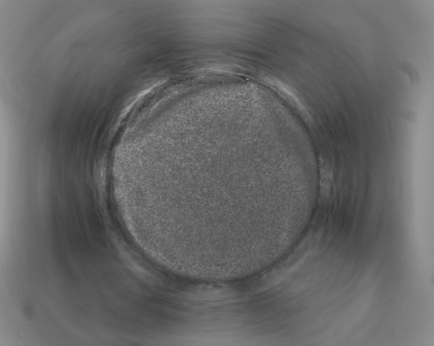 X0000113240386200910221105