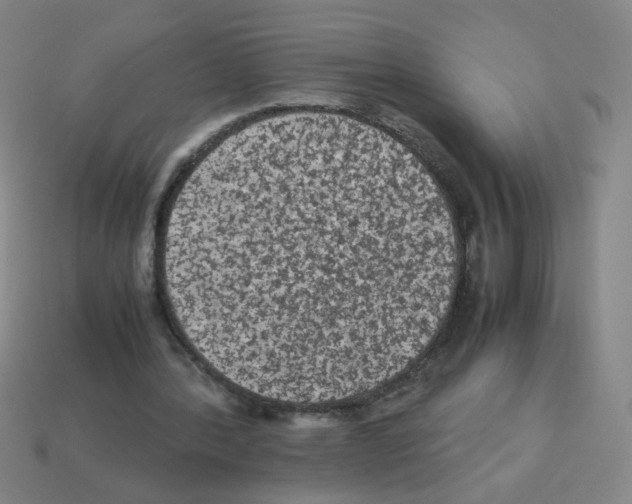 X0000113240388200910221105