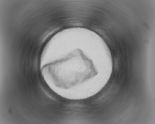 X0000113240390200910221105